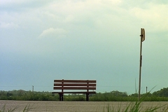 busstop_screenshot_3_20090323_1423446900