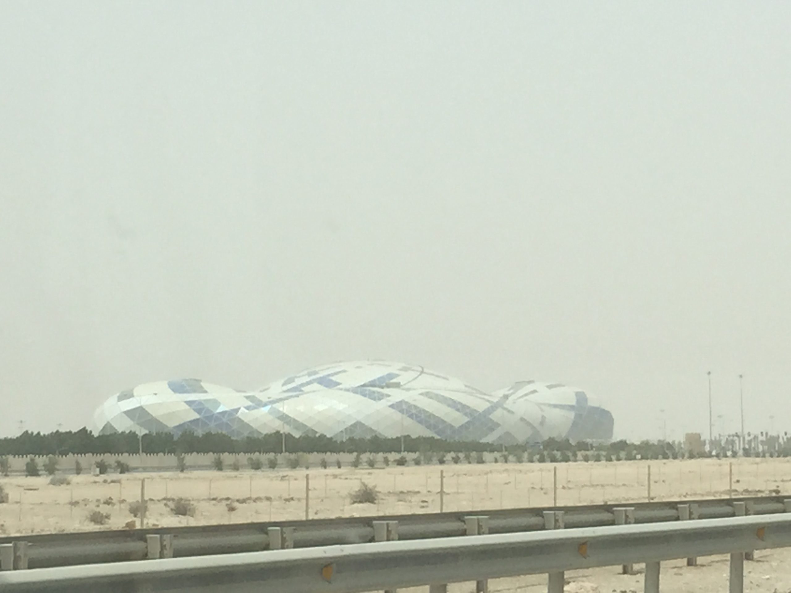 image of IMG 9743 1 scaled- CINEWOLF media productions