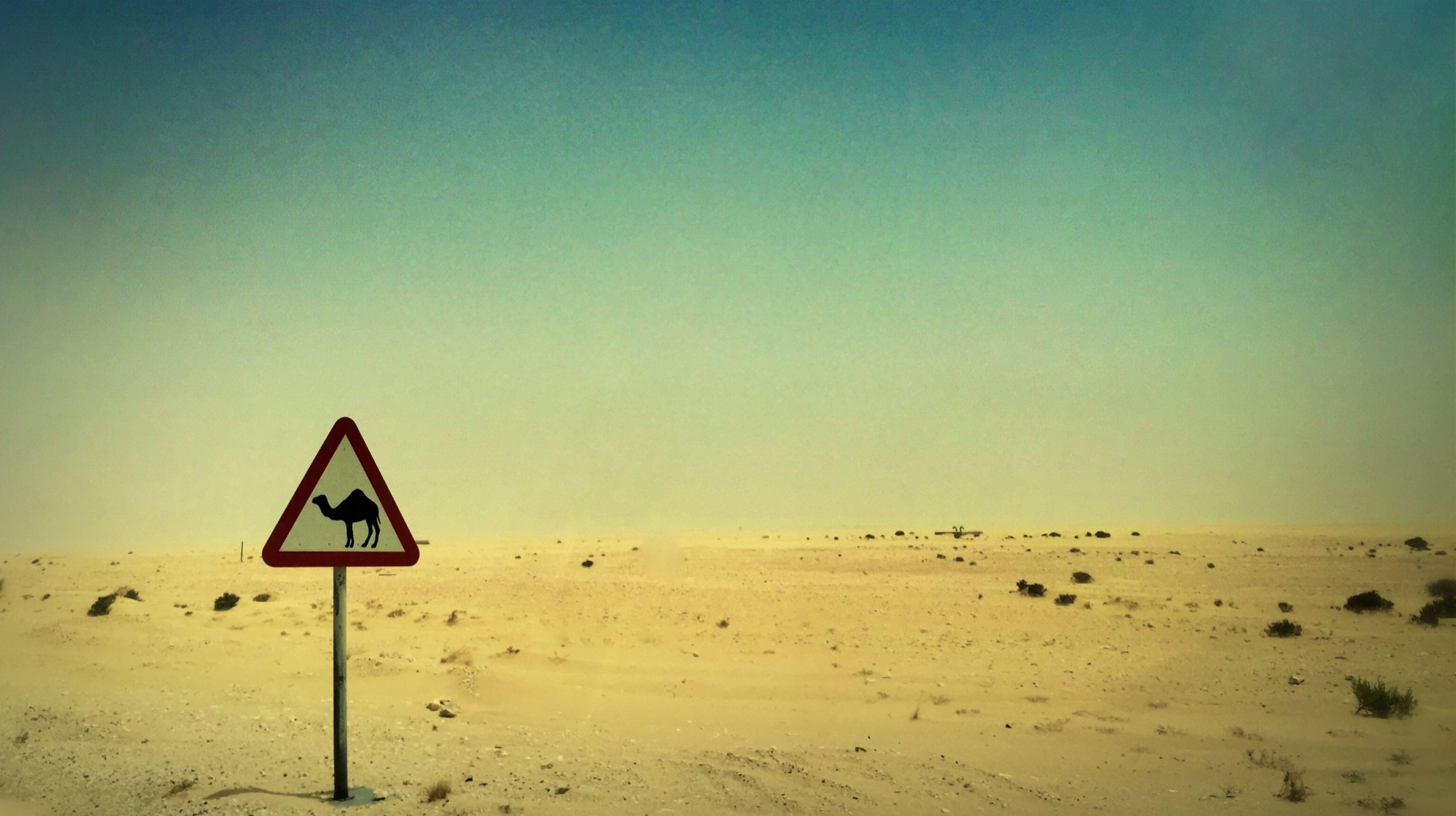 QATAR GAS JBOG Inauguration 2015 -10 10 - CINEWOLF media productions image of IMG 9784 1 scaled- CINEWOLF media productions