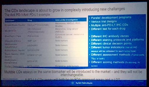 Ultimate and effective Powerpoint and speaker slide guidelines 3 - CINEWOLF media productions image of 12039247 10153741012660086 462918594354162058 n1- CINEWOLF media productions