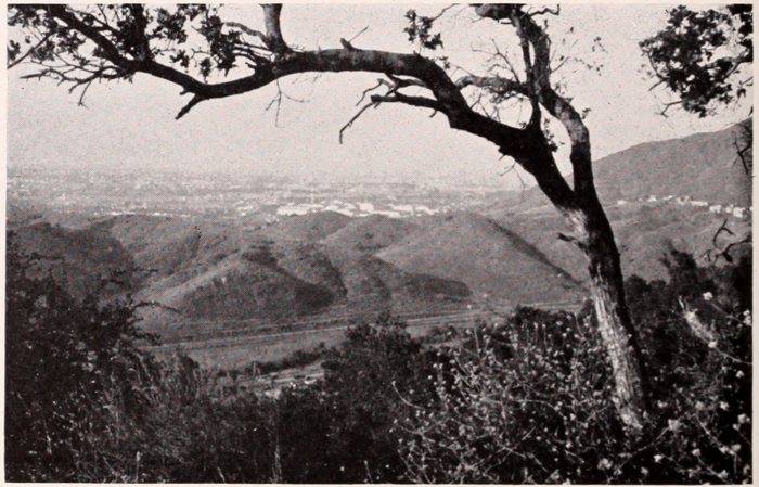 Properly exposed landscape