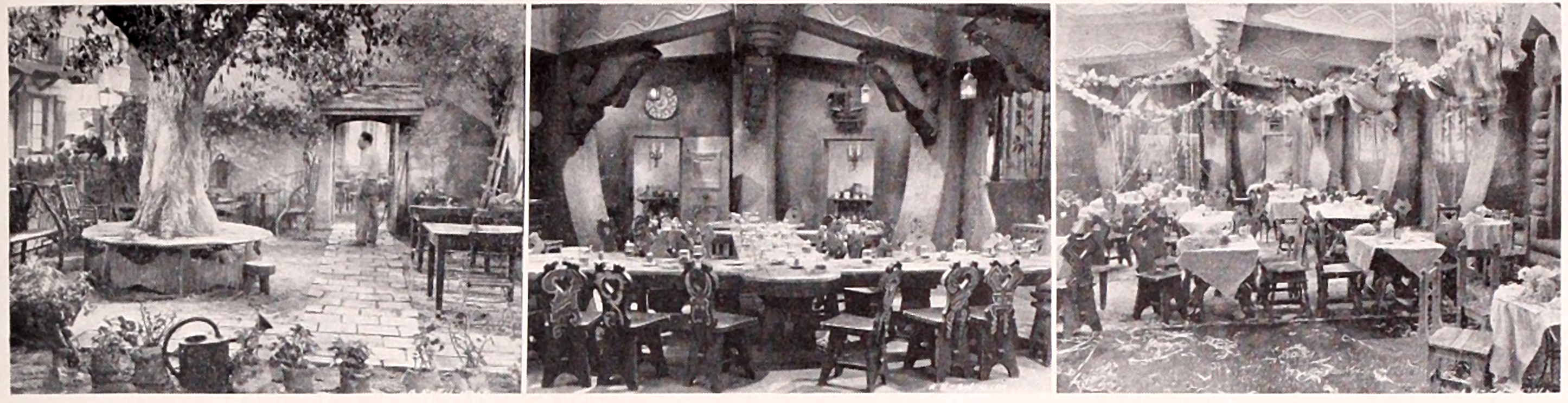 Using Light To Help Composition 1 - CINEWOLF media productions Using Light to Help composition