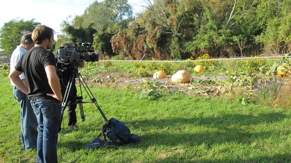 Erlebnis Österreich: Glashauselegie 32 9 - CINEWOLF media productions image of glashauselegie 16 20091020 1812494726- CINEWOLF media productions