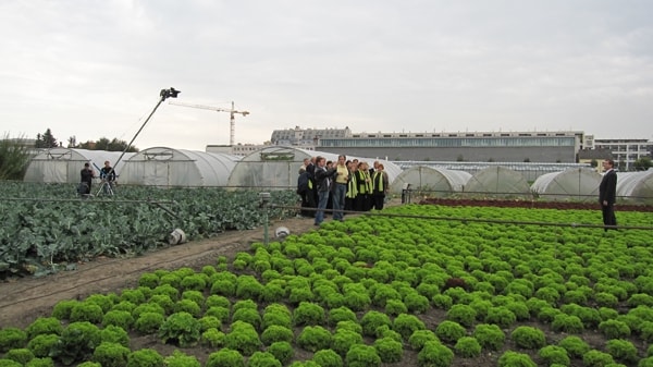 Erlebnis Österreich: Glashauselegie 34 7 - CINEWOLF media productions image of glashauselegie 17 20091020 1627344756- CINEWOLF media productions