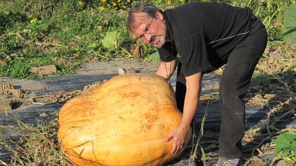 Erlebnis Österreich: Glashauselegie 37 4 - CINEWOLF media productions image of glashauselegie 18 20091020 2014407526- CINEWOLF media productions