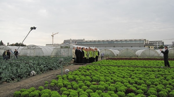 Erlebnis Österreich: Glashauselegie 38 3 - CINEWOLF media productions image of glashauselegie 19 20091020 1240362042- CINEWOLF media productions