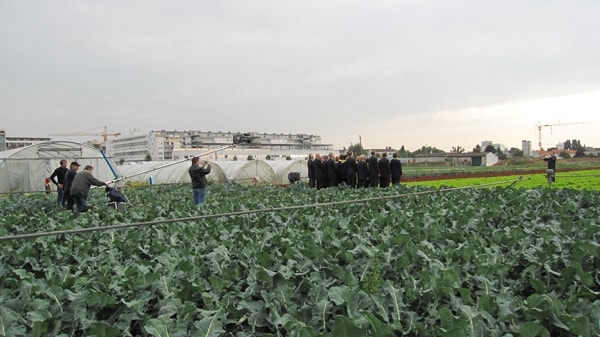 image of glashauselegie 21 20091020 1370543327- CINEWOLF media productions