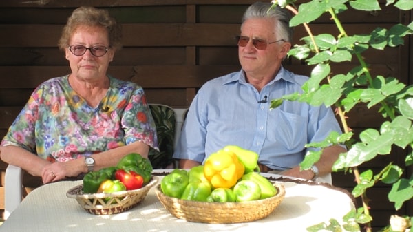 image of glashauselegie 23 20091020 1549863951- CINEWOLF media productions