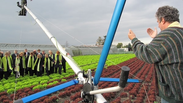 Erlebnis Österreich: Glashauselegie 56 3 - CINEWOLF media productions image of glashauselegie 28 20091020 1322059917- CINEWOLF media productions