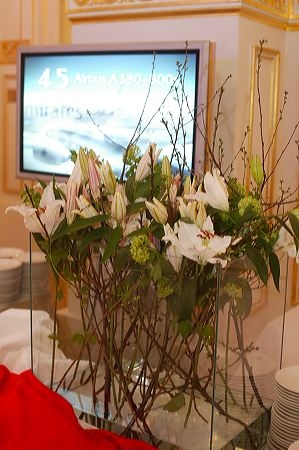 image of emirates 12 20090602 1529623803- CINEWOLF media productions