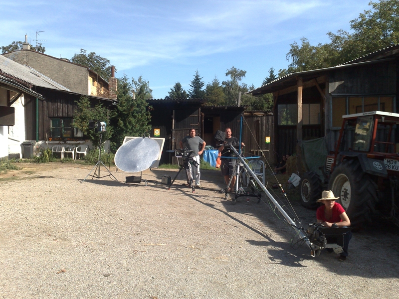 image of thinking horse 10 20090831 1013747000- CINEWOLF media productions