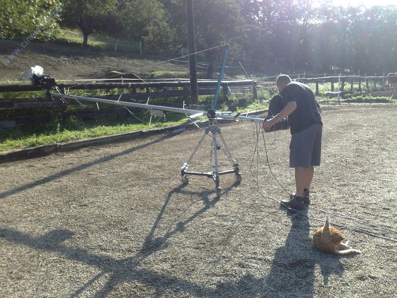 image of thinking horse 11 20090831 1238914637- CINEWOLF media productions