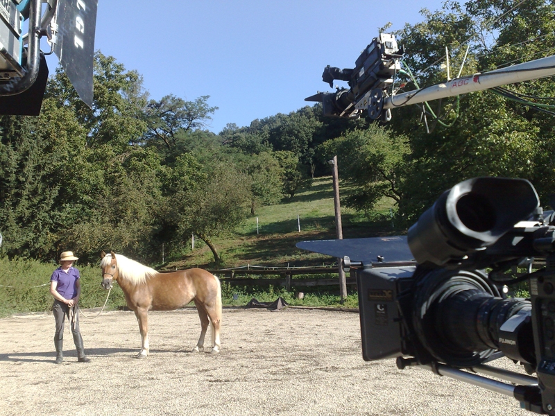 image of thinking horse 8 20090831 1089380570- CINEWOLF media productions