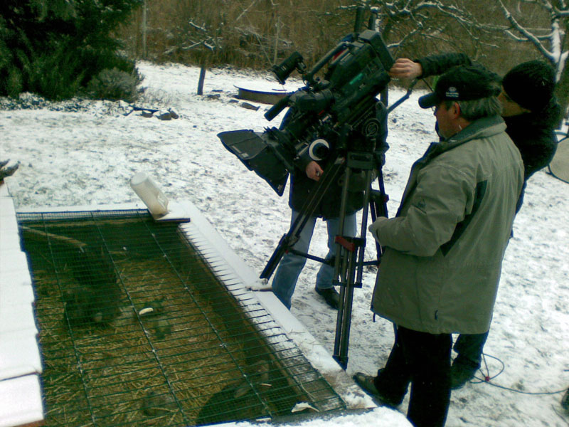 Bunte Vögel aus Wien- 3 4 - CINEWOLF media productions cinewolf media productions - Am Set von Erlebnis Österreich: Bunte Vögel aus Wien