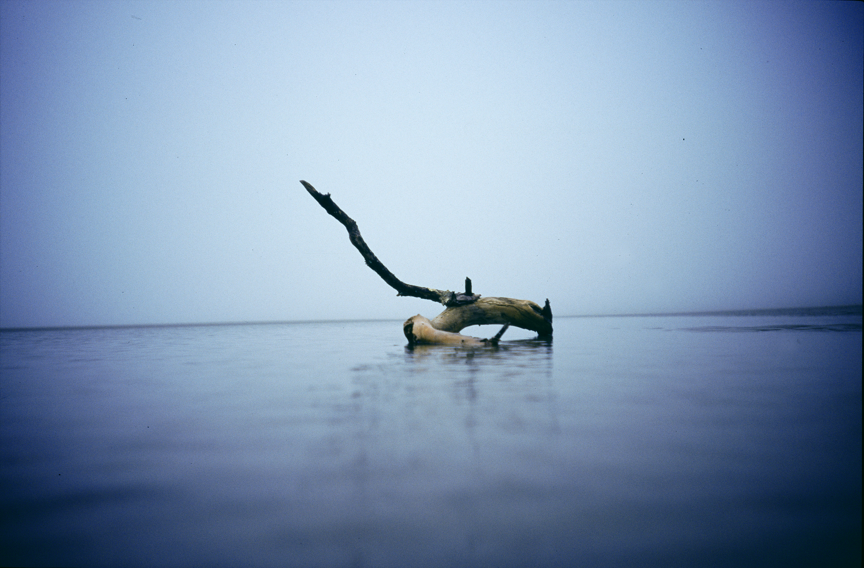 cinewolf media productions - Art photography - Wood and Water