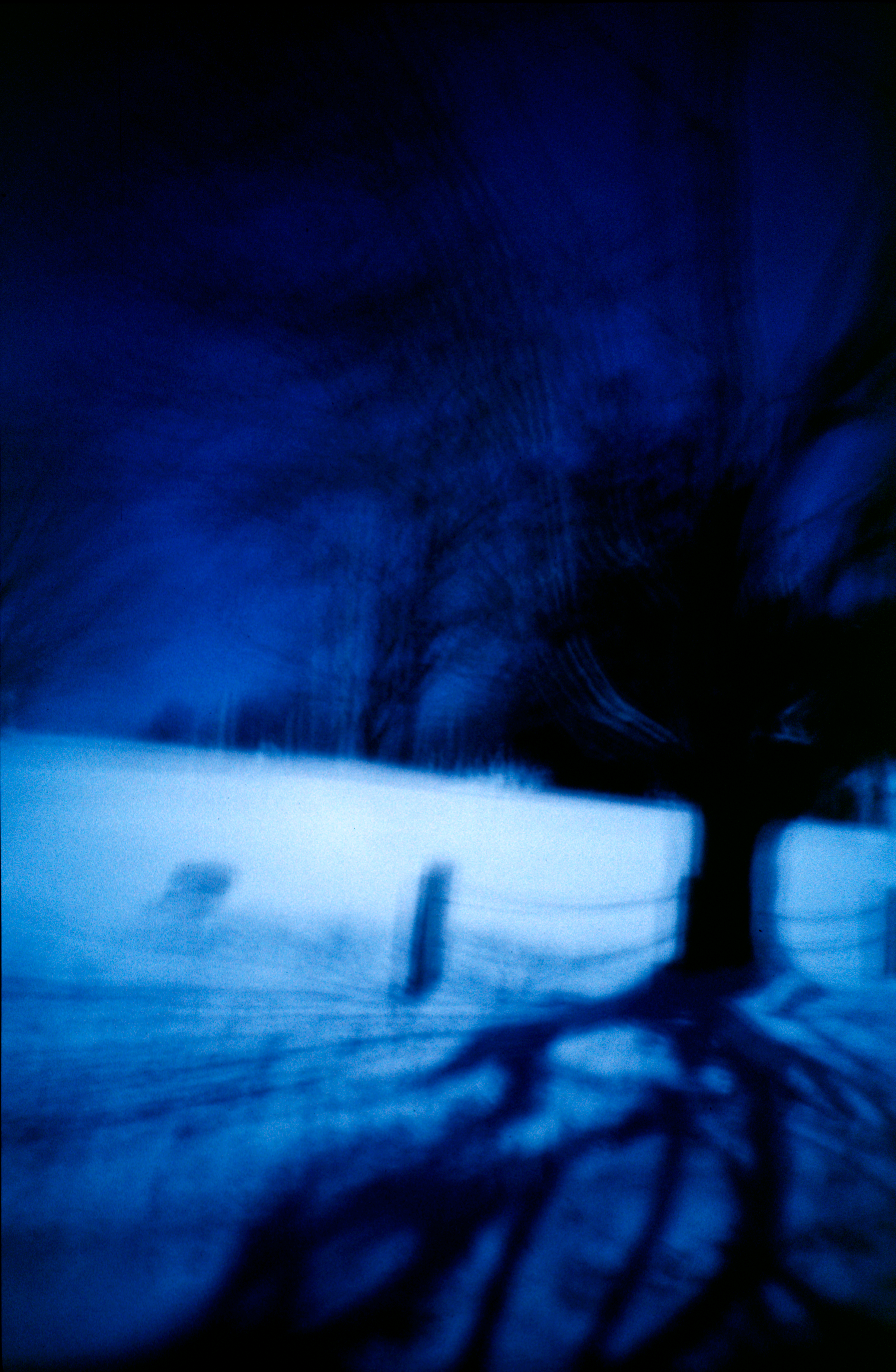 cinewolf media productions - Art photography - Graveyardtree