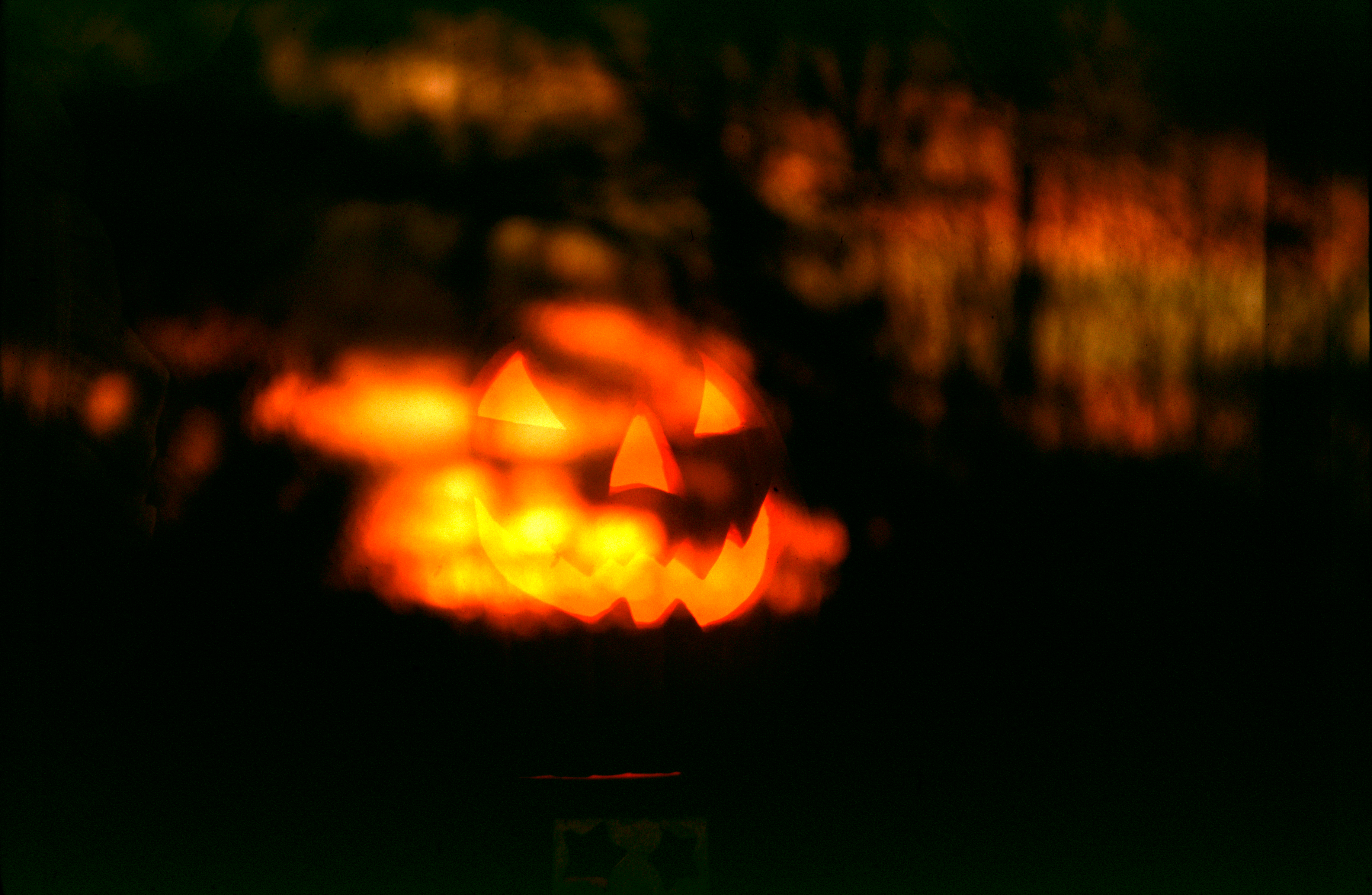 cinewolf media productions - Art photography - Pumpkin