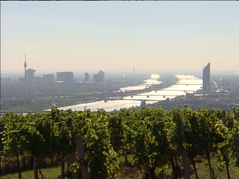 Das Kahlenbergerdorf – Zwischen Wein und Wasser -Blick über die Donau nach Wien 1 - CINEWOLF media productions cinewolf media productions - Das Kahlenbergerdorf - Zwischen Wein und Wasser -Blick über die Donau nach Wien
