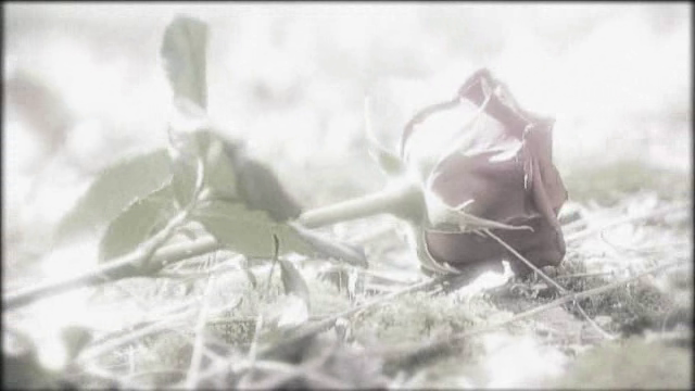 cinewolf media productions - DJ F.A.B.S.I. - Unter der Erde